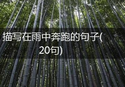 描写在雨中奔跑的句子(20句)