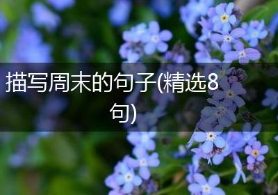 描写周末的句子(精选8句)