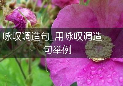 咏叹调造句_用咏叹调造句举例