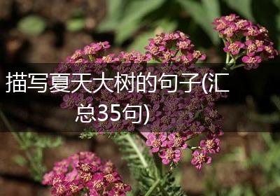 描写夏天大树的句子(汇总35句)