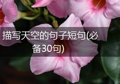 描写天空的句子短句(必备30句)