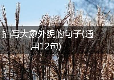 描写大象外貌的句子(通用12句)