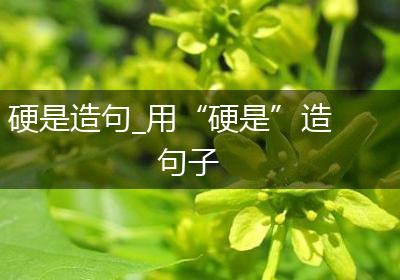 硬是造句_用“硬是”造句子