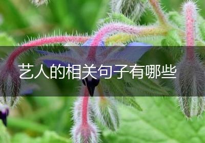 艺人的相关句子有哪些