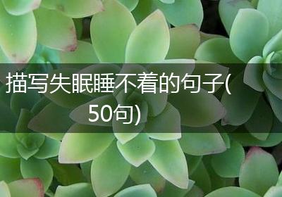 描写失眠睡不着的句子(50句)