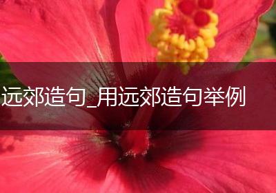 远郊造句_用远郊造句举例