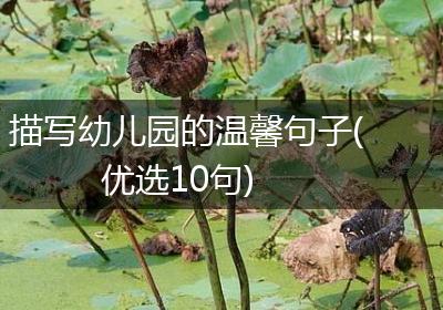 描写幼儿园的温馨句子(优选10句)