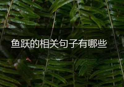 鱼跃的相关句子有哪些