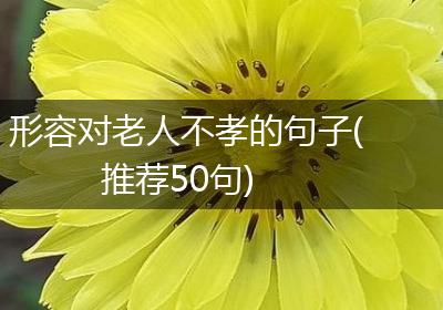 形容对老人不孝的句子(推荐50句)