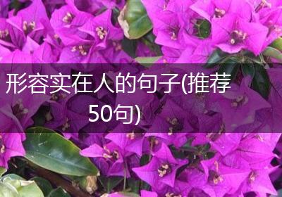 形容实在人的句子(推荐50句)