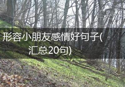 形容小朋友感情好句子(汇总20句)