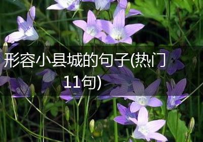 形容小县城的句子(热门11句)