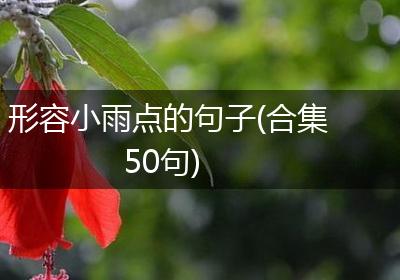 形容小雨点的句子(合集50句)