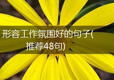 形容工作氛围好的句子(推荐48句)