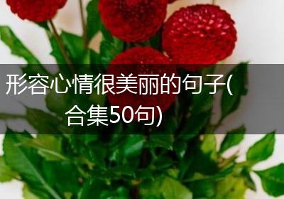 形容心情很美丽的句子(合集50句)