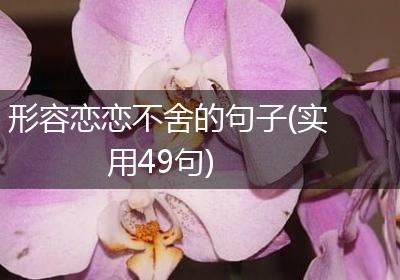 形容恋恋不舍的句子(实用49句)
