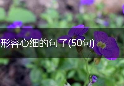 形容心细的句子(50句)
