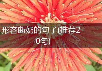 形容断奶的句子(推荐20句)