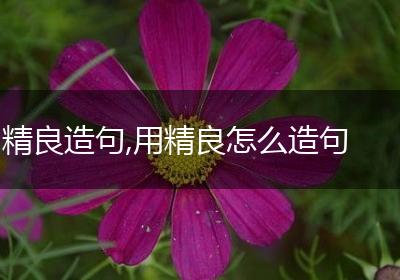 精良造句,用精良怎么造句