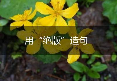 用“绝版”造句