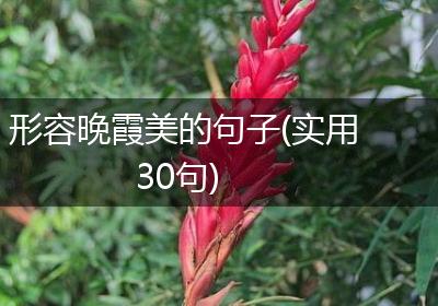 形容晚霞美的句子(实用30句)