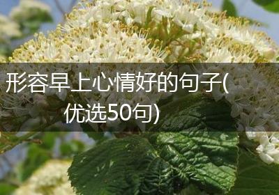 形容早上心情好的句子(优选50句)