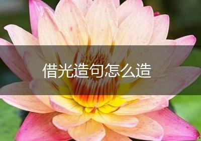 借光造句怎么造