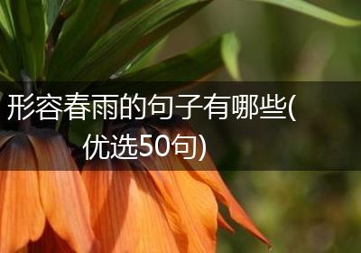 形容春雨的句子有哪些(优选50句)