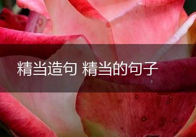 精当造句 精当的句子