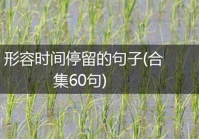形容时间停留的句子(合集60句)