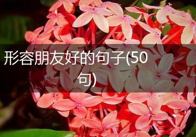 形容朋友好的句子(50句)