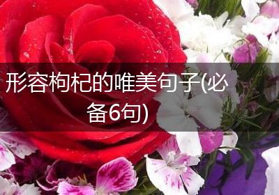形容枸杞的唯美句子(必备6句)