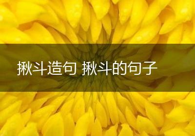 揪斗造句 揪斗的句子