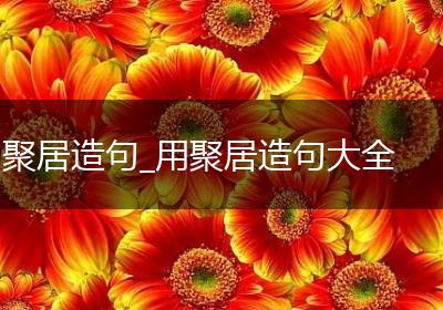 聚居造句_用聚居造句大全