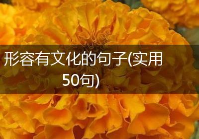 形容有文化的句子(实用50句)