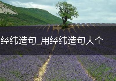 经纬造句_用经纬造句大全