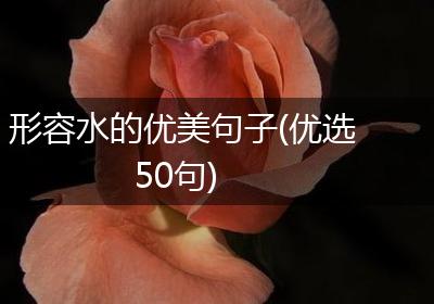 形容水的优美句子(优选50句)