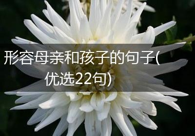 形容母亲和孩子的句子(优选22句)