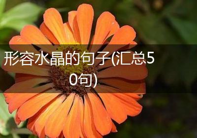 形容水晶的句子(汇总50句)