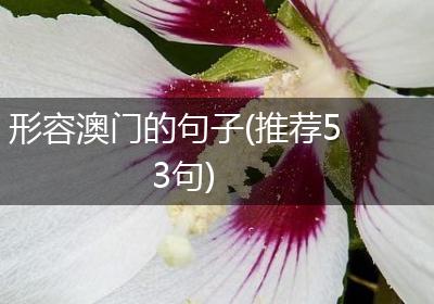形容澳门的句子(推荐53句)