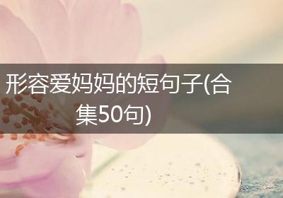 形容爱妈妈的短句子(合集50句)