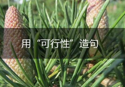 用“可行性”造句