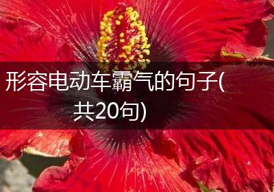 形容电动车霸气的句子(共20句)