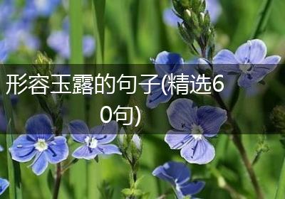 形容玉露的句子(精选60句)
