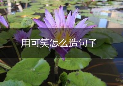 用可笑怎么造句子