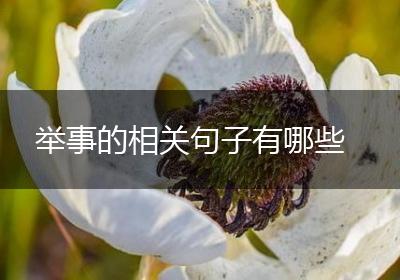 举事的相关句子有哪些