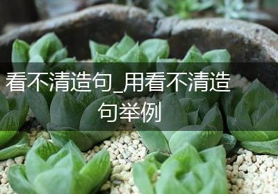 看不清造句_用看不清造句举例