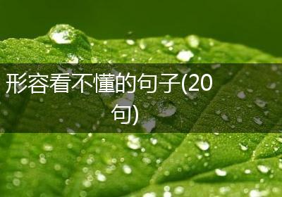 形容看不懂的句子(20句)