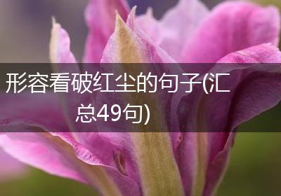 形容看破红尘的句子(汇总49句)