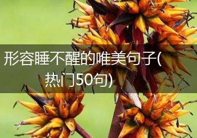 形容睡不醒的唯美句子(热门50句)